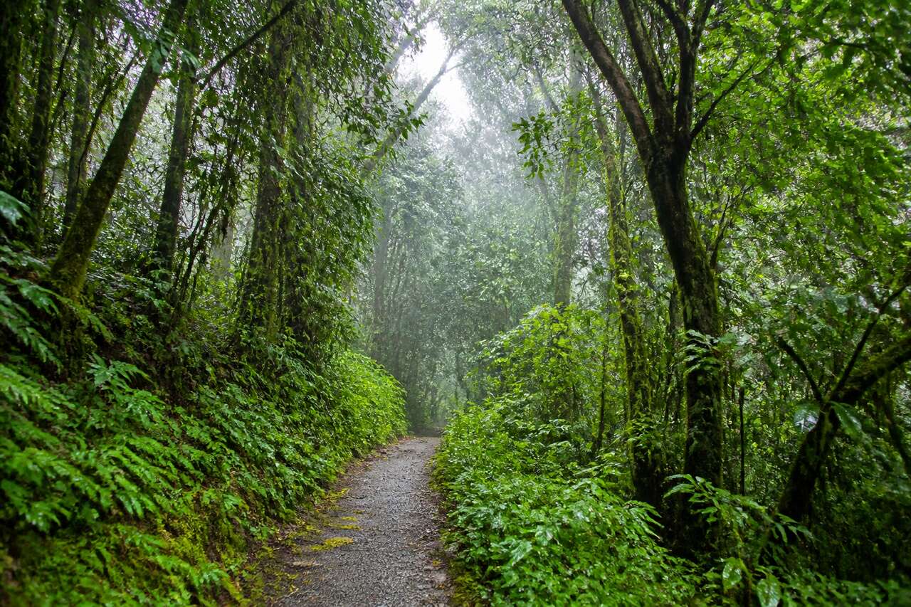 Randonn&eacute;es autour de tanah rata