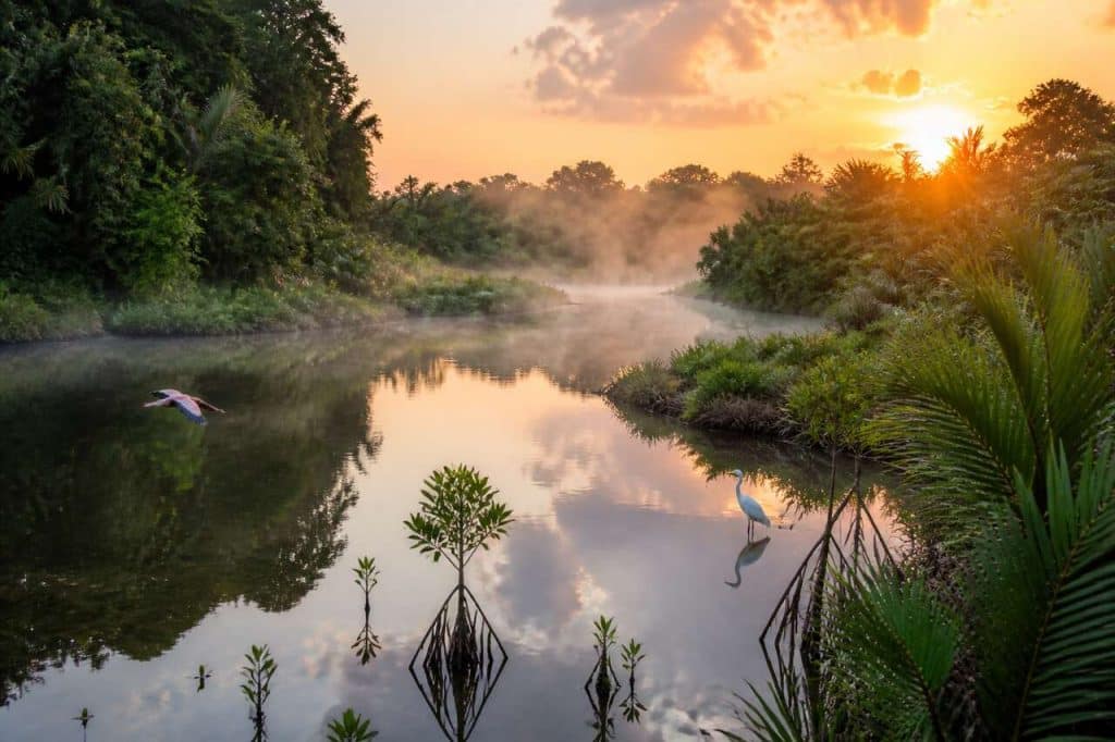 Découvrir le parc national de Kuching Wetlands en Malaisie