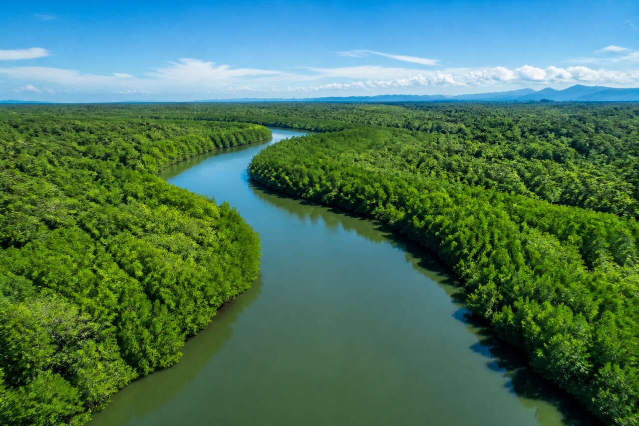 Activit&eacute;s incontournables pour les visiteurs