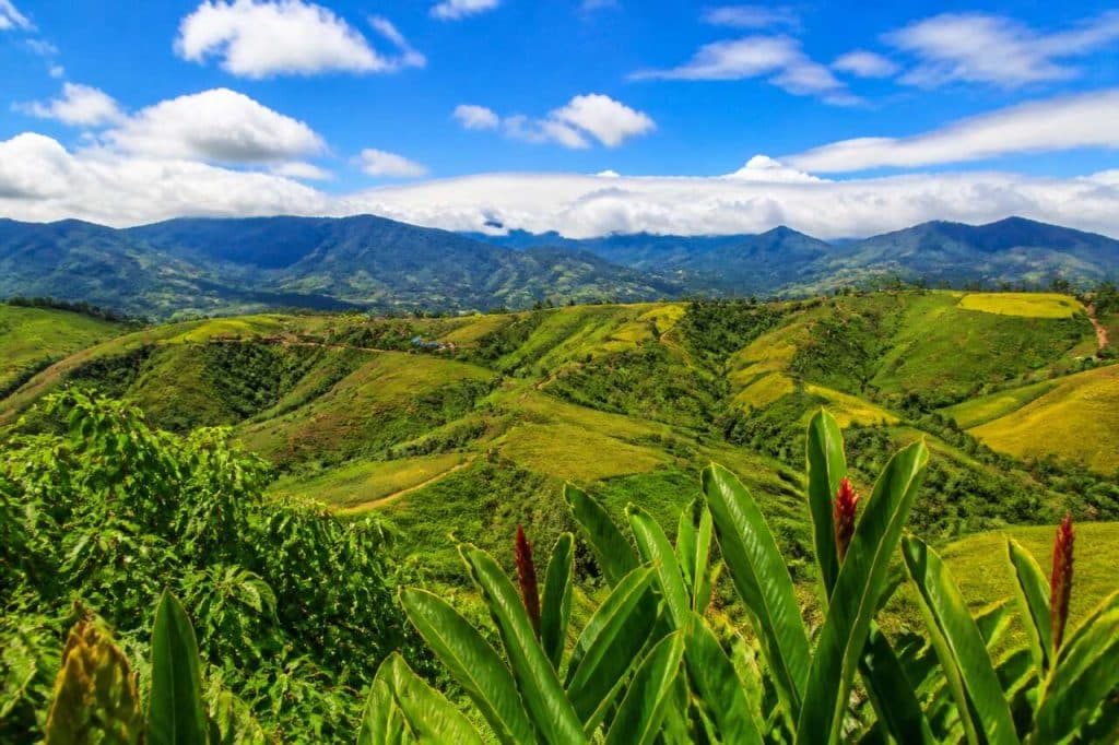 Tambunan : guide pour découvrir ce joyau de la Malaisie
