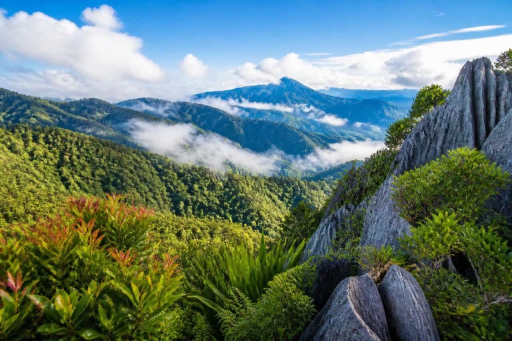 Découvrir le parc des Crocker Range en Malaisie