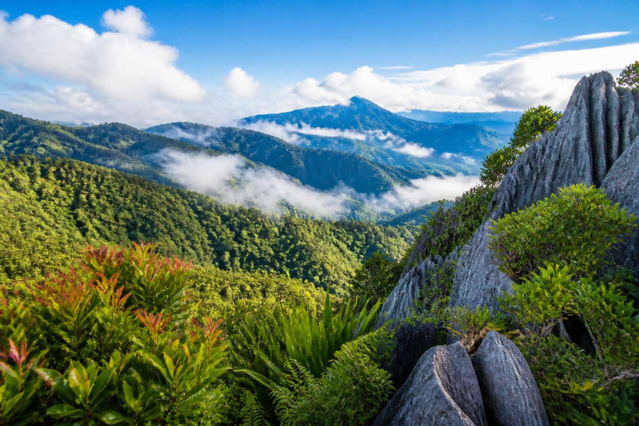 Découvrir le parc des Crocker Range en Malaisie