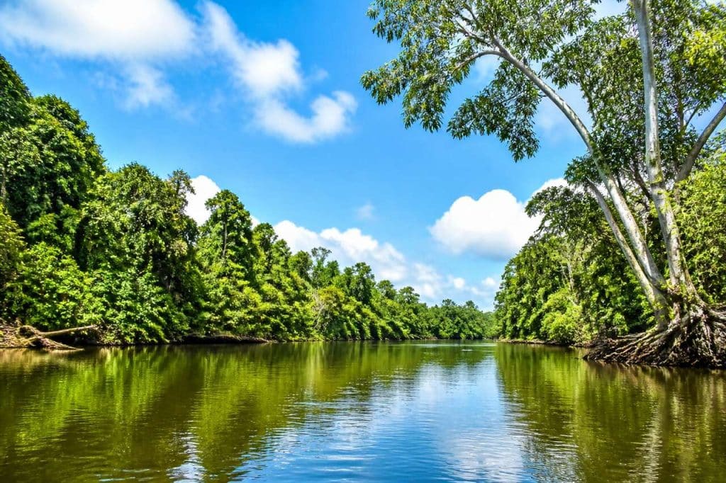 Klias River : découvrez la rivière incontournable de Malaisie