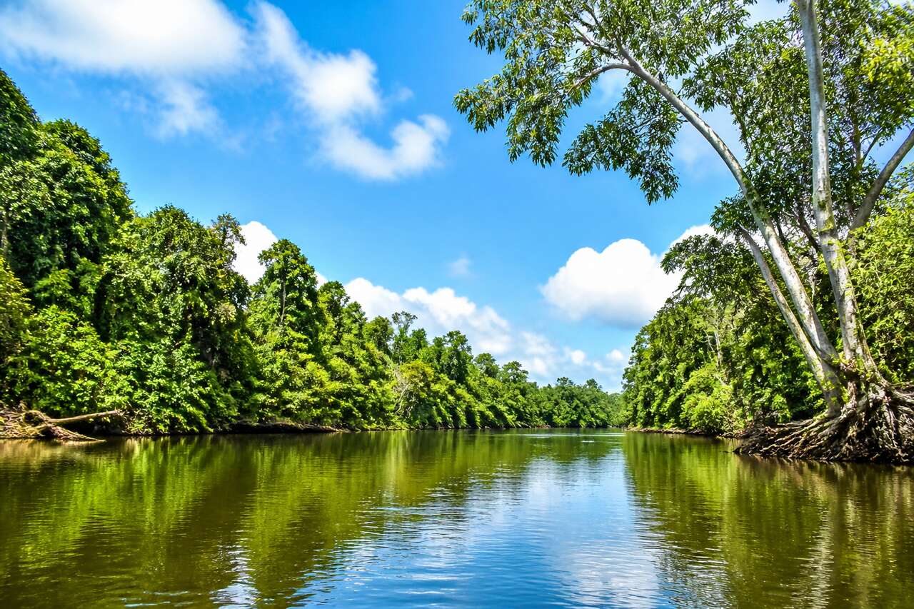 Klias River : découvrez la rivière incontournable de Malaisie