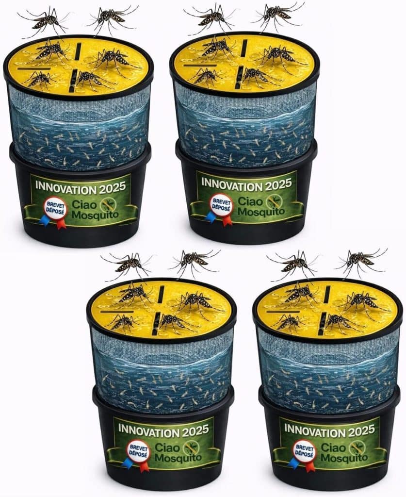 Test : pièges écologiques Ciao Mosquito® contre les moustiques tigres