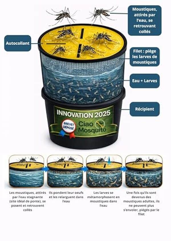 Découvrez Ciao Mosquito, le piège anti-moustique écologique et innovant pour une maison sans moustiques. Solution efficace, naturelle et respectueuse de l'environnement. 
